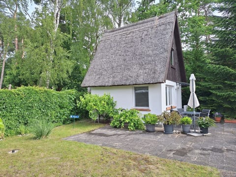 Reetgedecktes Haus