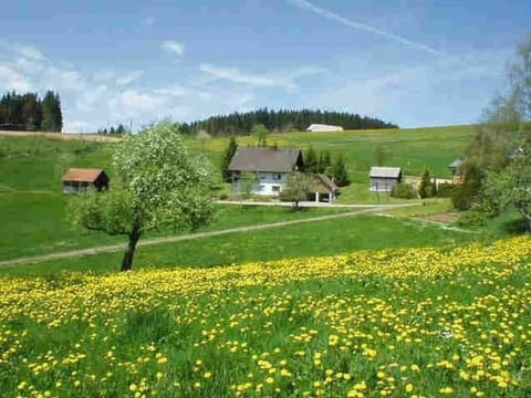 Appartement mit Garten in Schwärzenbach