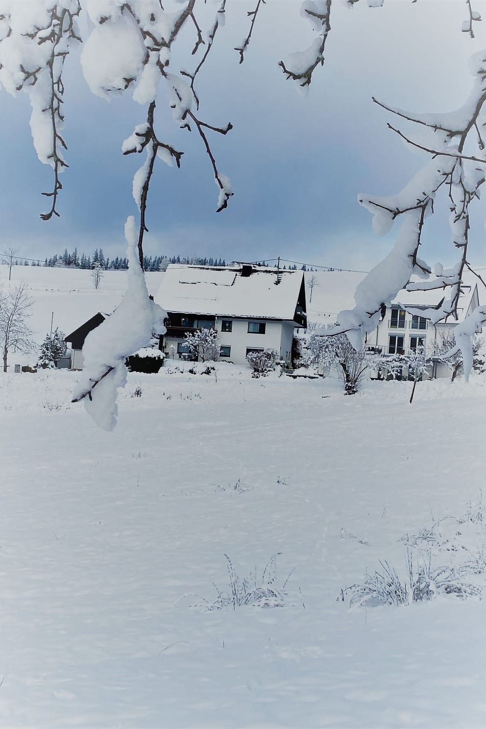 Appartement mit Garten in Schwärzenbach - Titisee-Neustadt