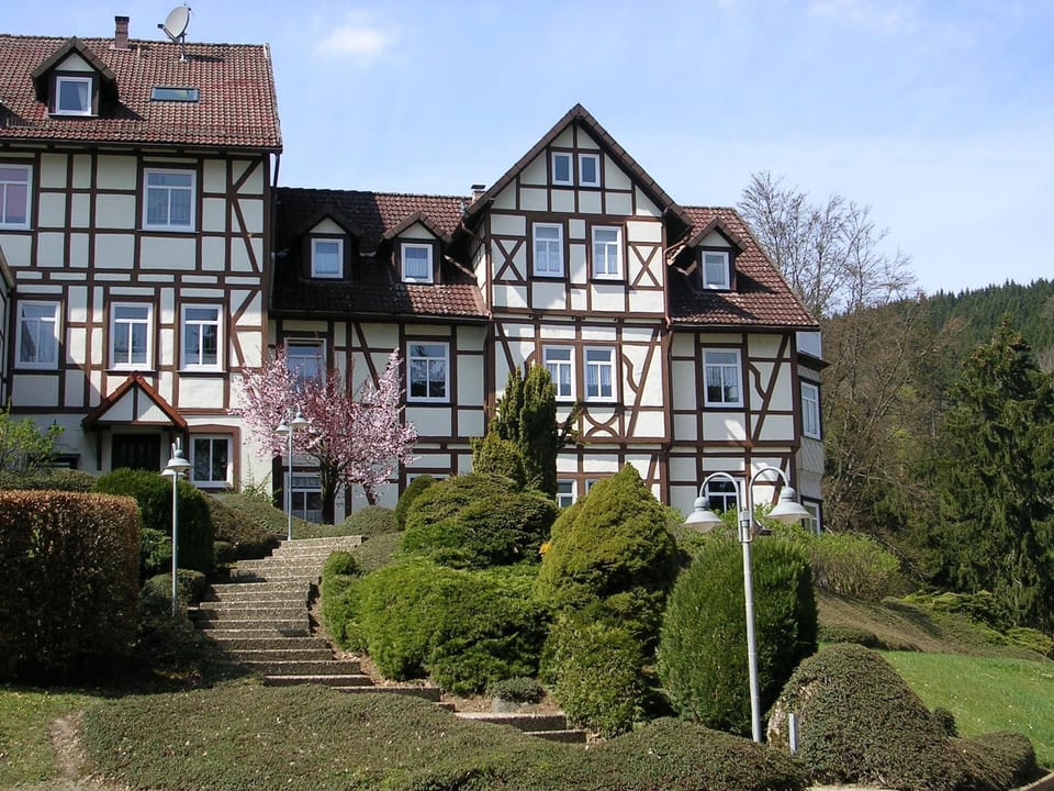 Der Falkenhorst - Bad Sachsa