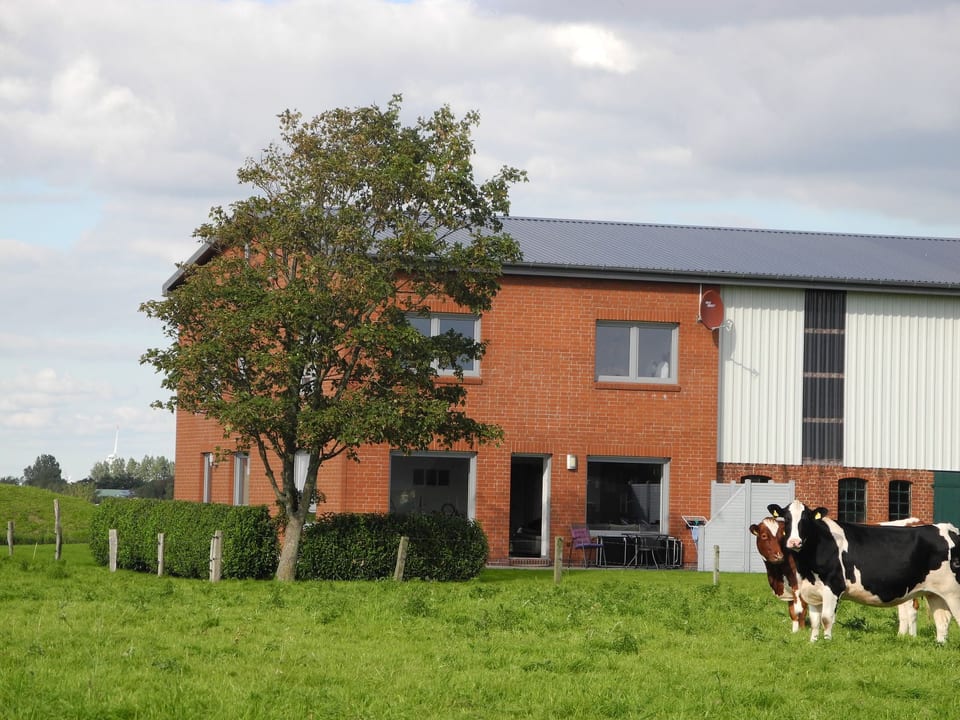 Geräumiges Ferienhaus mit Garten und Weitblick - Büsum