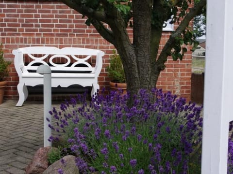 Gästehaus Kopp Wohnung Nr. 01 in Cuxhaven-Duhnen