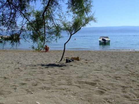 mit Privatpool neben dem Strand