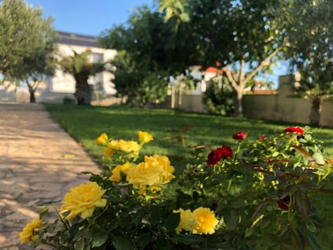 Villa Olive Grove