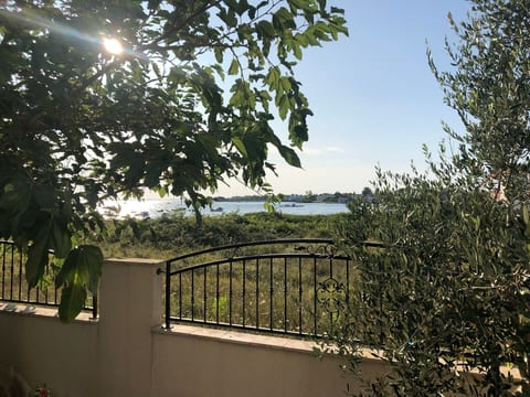 Villa Olive Grove