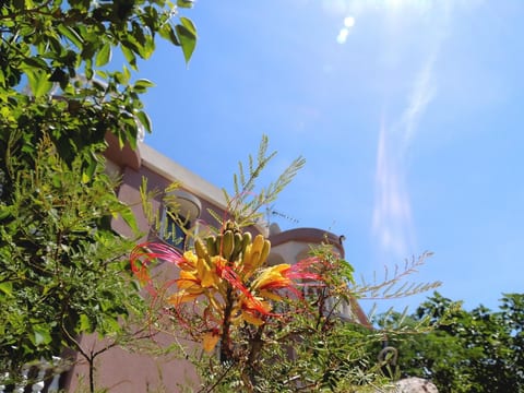 Studio mit Terrasse für zwei Personen