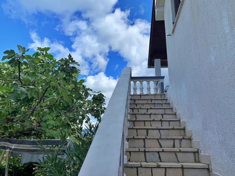 Apartment Horvat