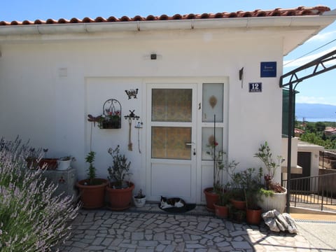 Apartment Renata