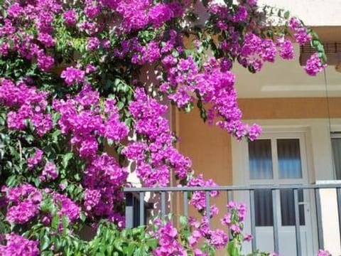 mit privater Terrasse