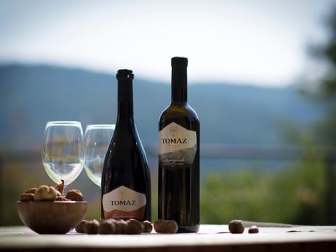 in Brkač mit Kleiner Terrasse