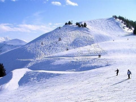 Fewo Bergblick