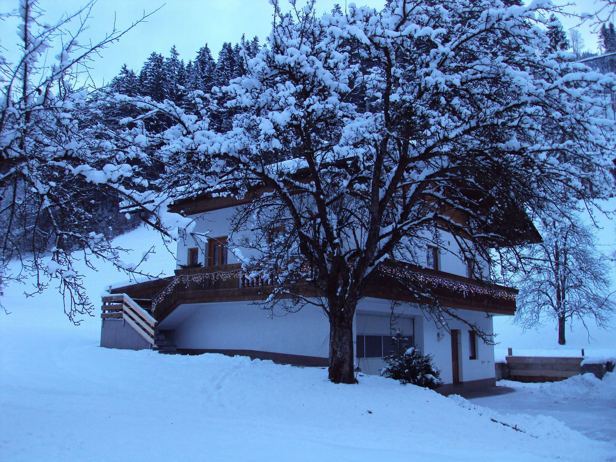 Haus der Natur