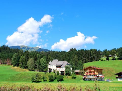 Wohnung Pihapperblick in Hollersbach im Pinzgau