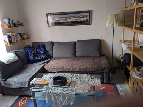 Gemütliches Ferienhaus am Polarkreis