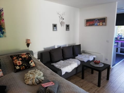 Apartment Melanie in Hovmantorp