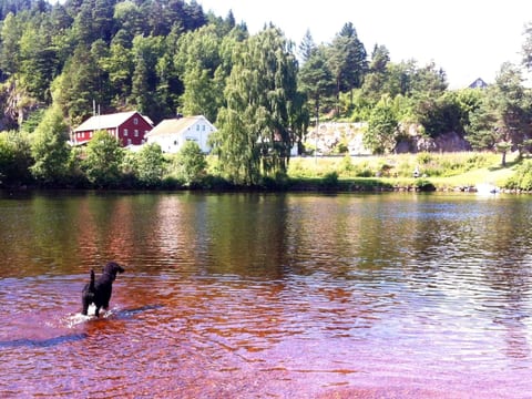 mit Blick auf das Wasser