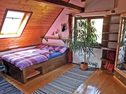 Casa Pelu