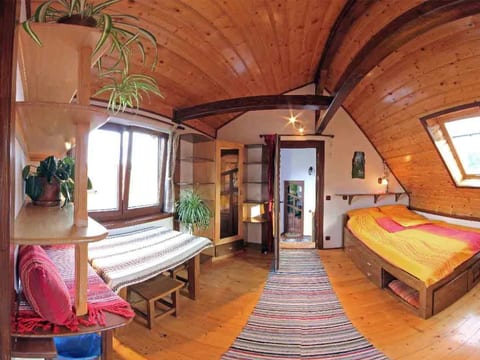 Casa Pelu