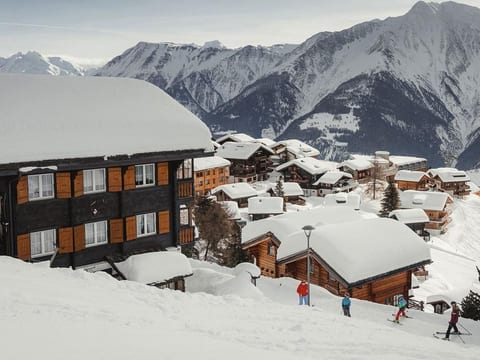 Chalet "Arve"