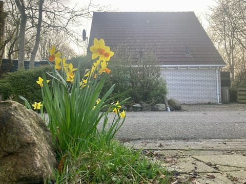 Ruhiges Ferienhaus mit großer offener Küche