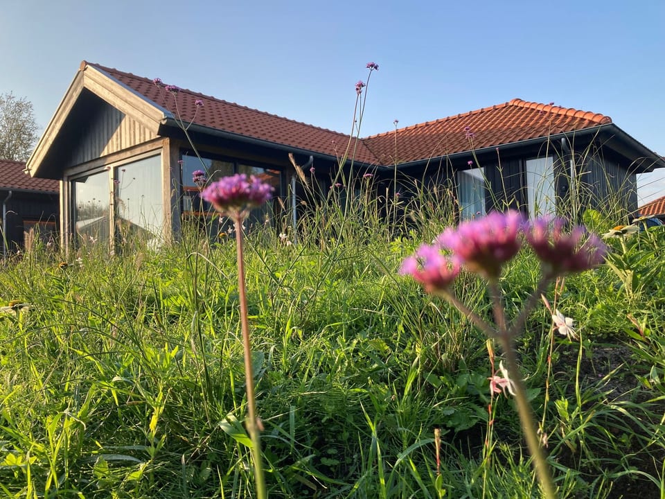 Chalet Ufergrundstück mit eigenem Angelplatz - Eanjum