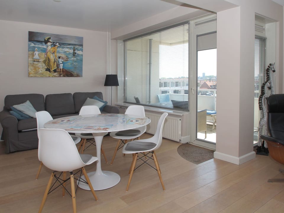 Zebra - Noordwijk