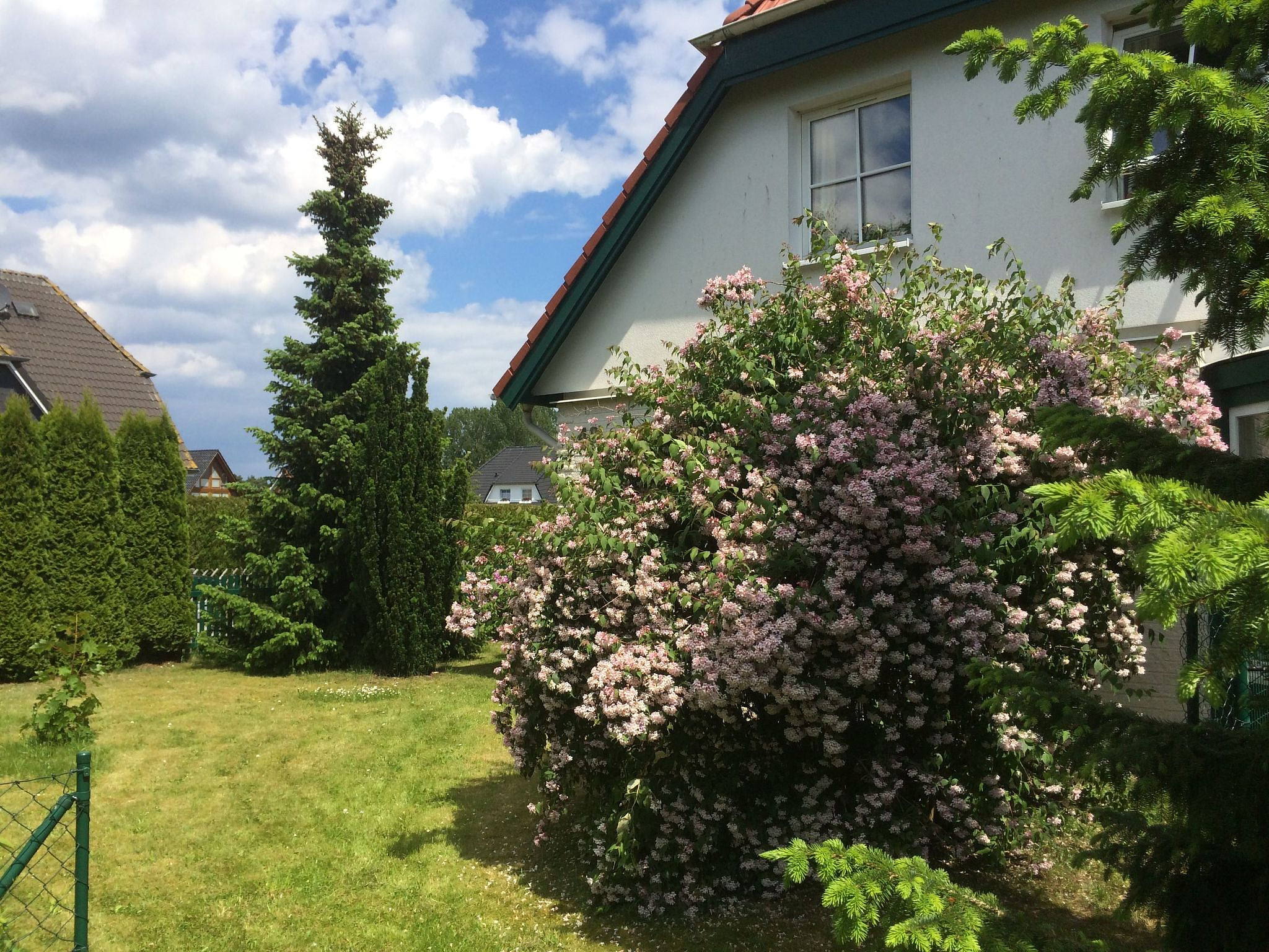  in Trassenheide