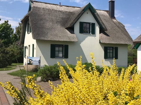 Reethaus Vera am Meer mit Sauna und Kamin