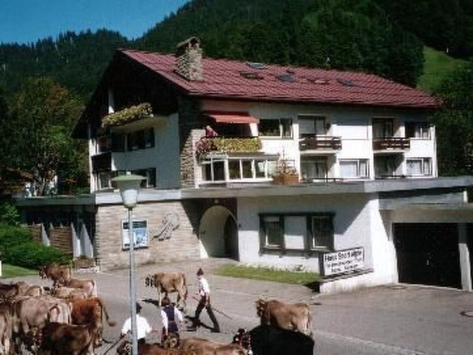 Sport Alpin Wh 5 - Oberstdorf