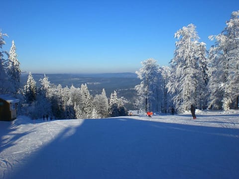Birkenhain