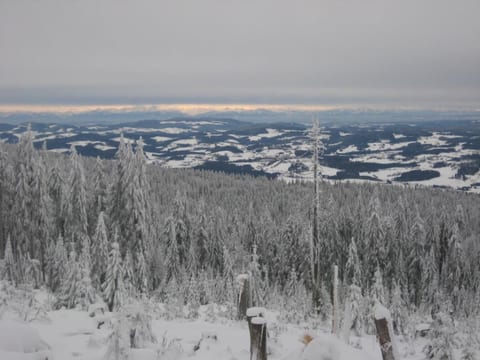 Birkenhain