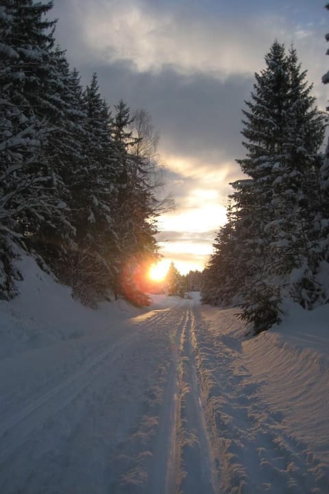 Birkenhain