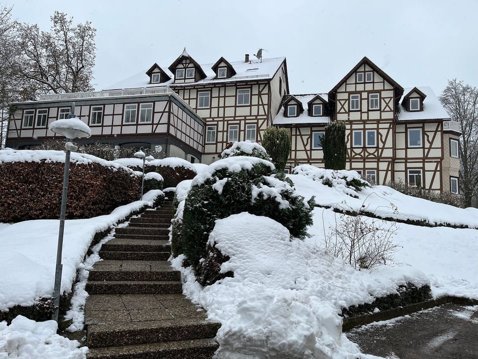 Das Spatzennest - Bad Sachsa