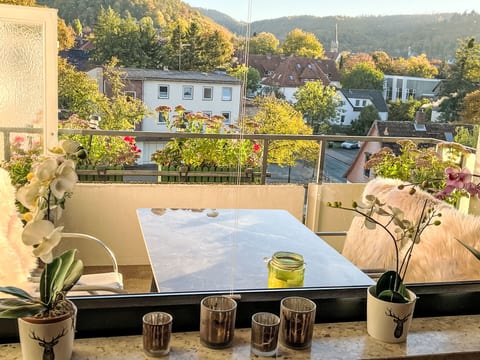 Fewo Harzblick