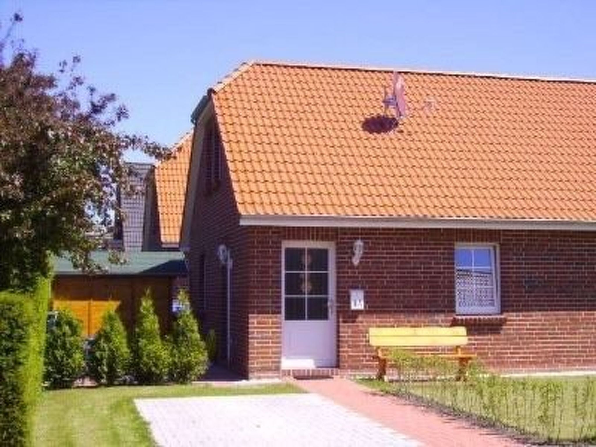 Seerobbe in Norden
