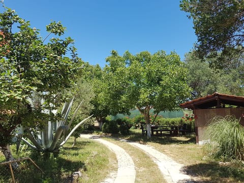 Ganze Wohnung in Ližnjan mit Möbliertem Balkon