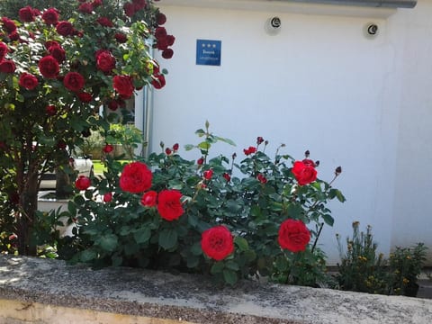 "Gemütlicher Garten" mit Terrasse