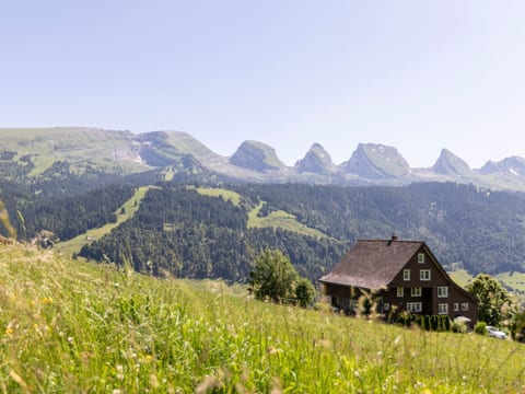 HALDENHOF SCHWIZER