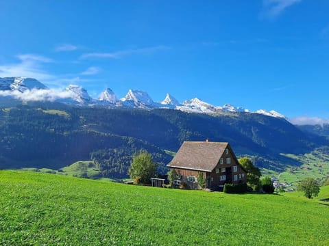 HALDENHOF SCHWIZER