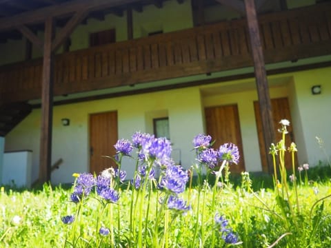 Residenz La Mora 06
