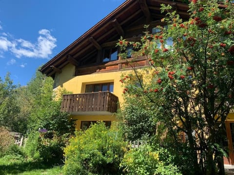 Wohnung Grün