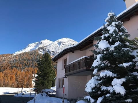 Engadin 2 1/2 Zi-Wg