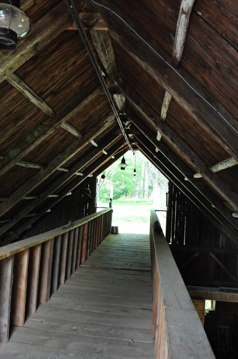 Barn cat walk.