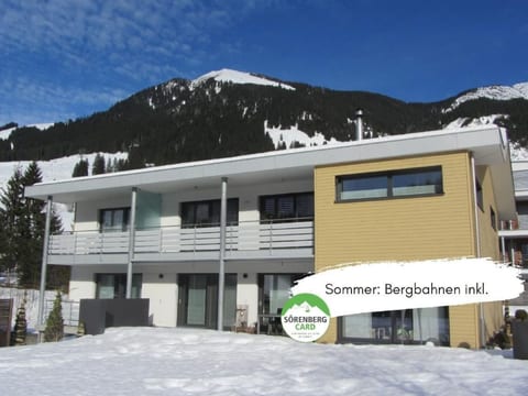 Lauigrund
