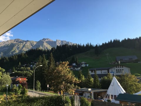 Lauigrund
