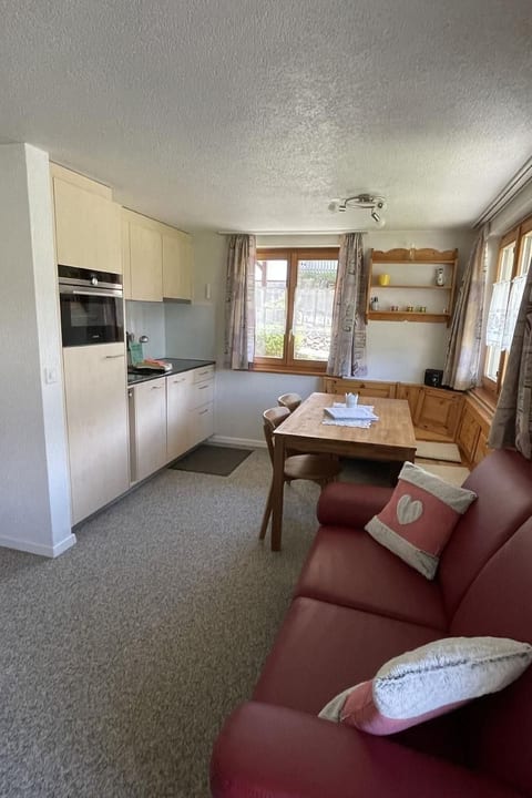 Chalet Schybi