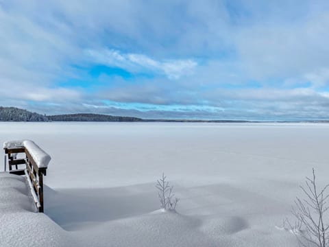 Näsinneito