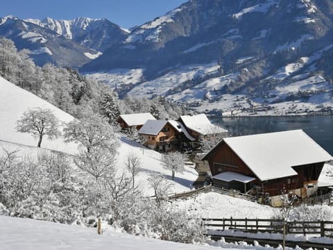 Holzhaus auf Lamahof