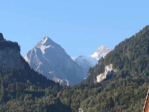 Ursula und Daniel 6-Bettwohnung Meiringen