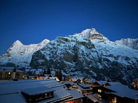 Chalet Soldanella